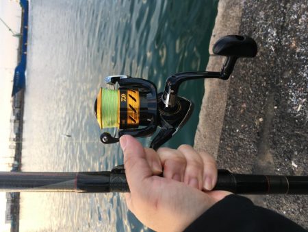 餌なしサビキ釣り